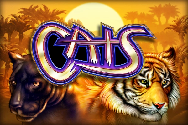 Cats at Winbeast
